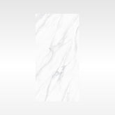 SnowWhite Grey 300x600 Polish